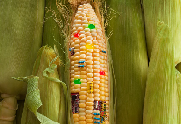 Genetically Modified Crop Assessment